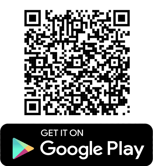 Store Google Play